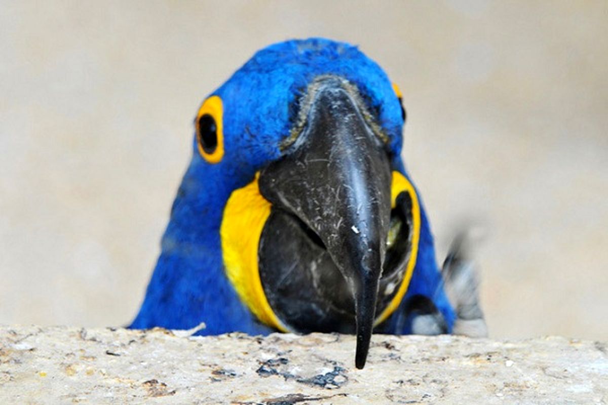 تصاویر/بدون شرح