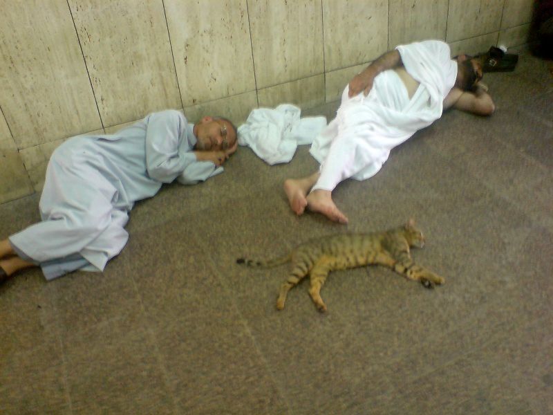 عجب خواب گرمی!/ عکس