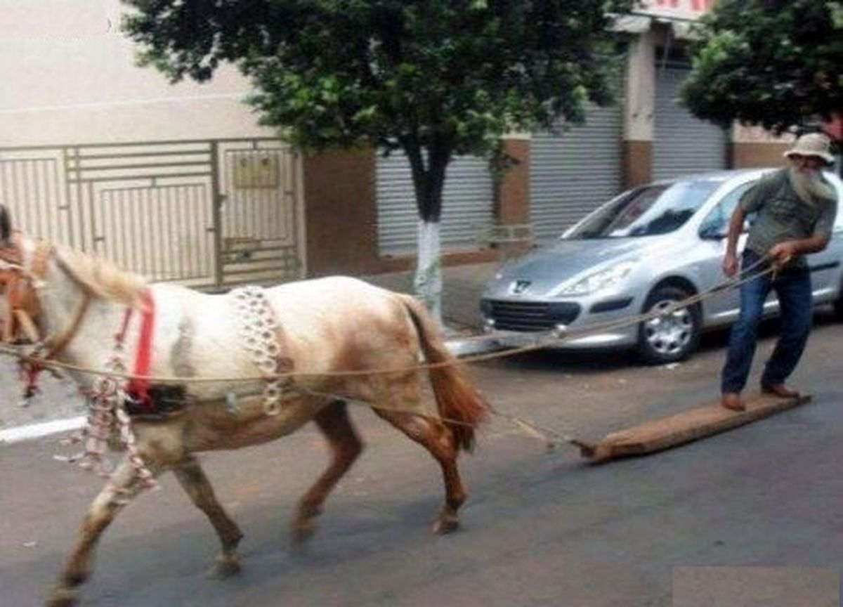 عکس/ اینم یه جور سواری کردنه!