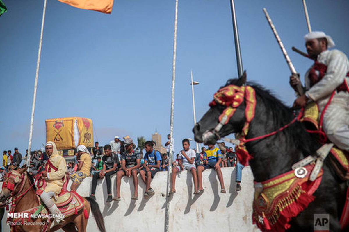 تصاویر: جشنواره اسب سواری در مراکش‎