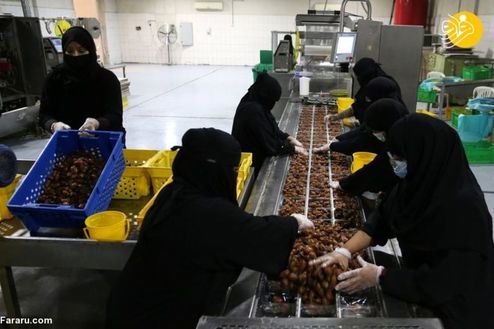 تصاویر: زنان عربستانی شاغل در کارخانه تولید خرما