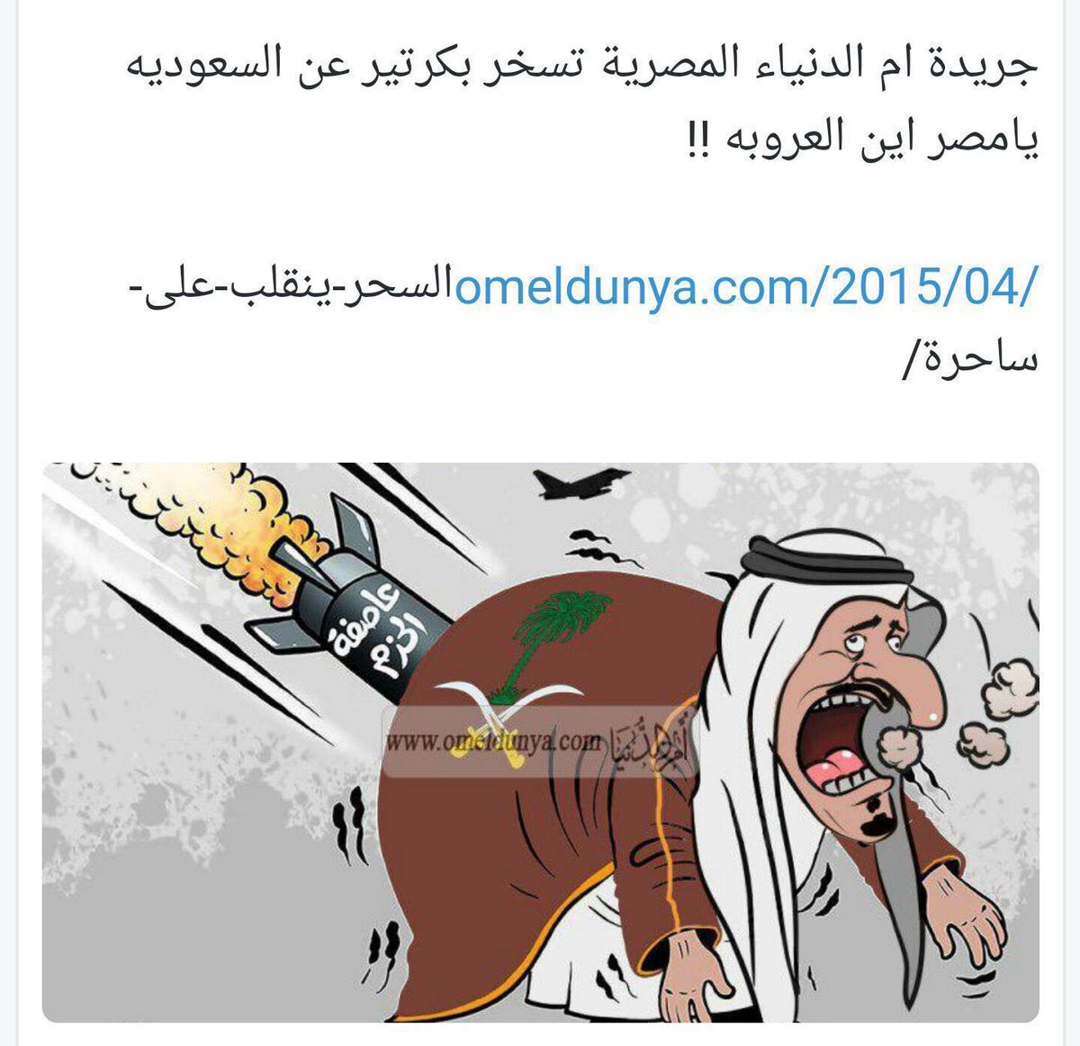 کاریکاتوری که روابط مصر و عربستان را تهدید می‌کند +عکس