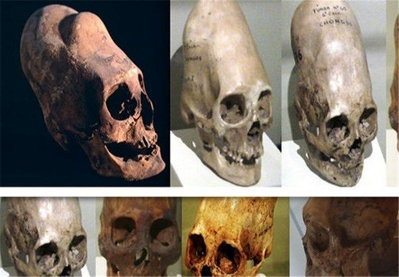 جمجمه‌های شبه انسان با DNA غیرانسانی + عکس
