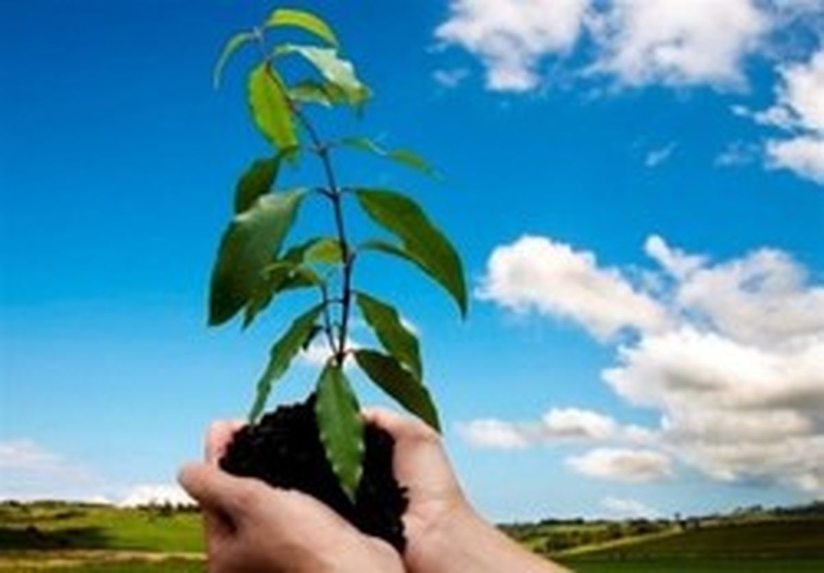 محکومیتی که منجر به استخدام شد