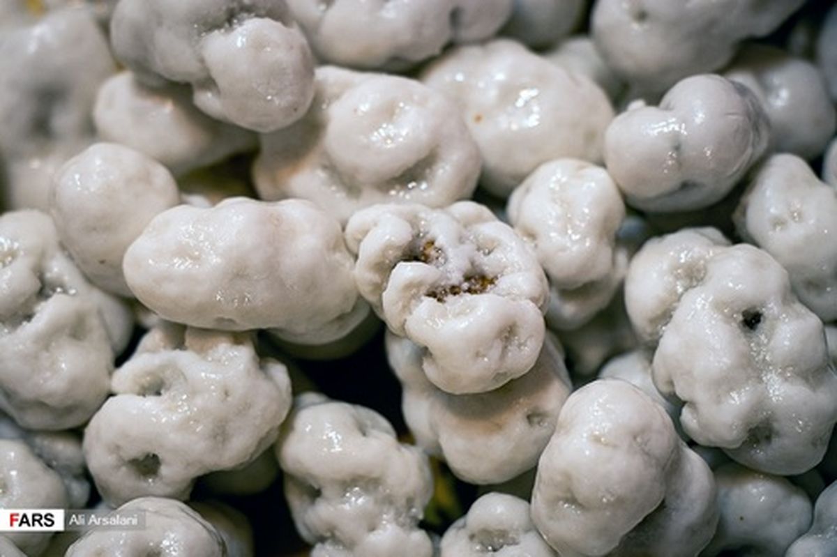 تصاویر: «نُقل» از مشهورترین سوغاتی های ارومیه