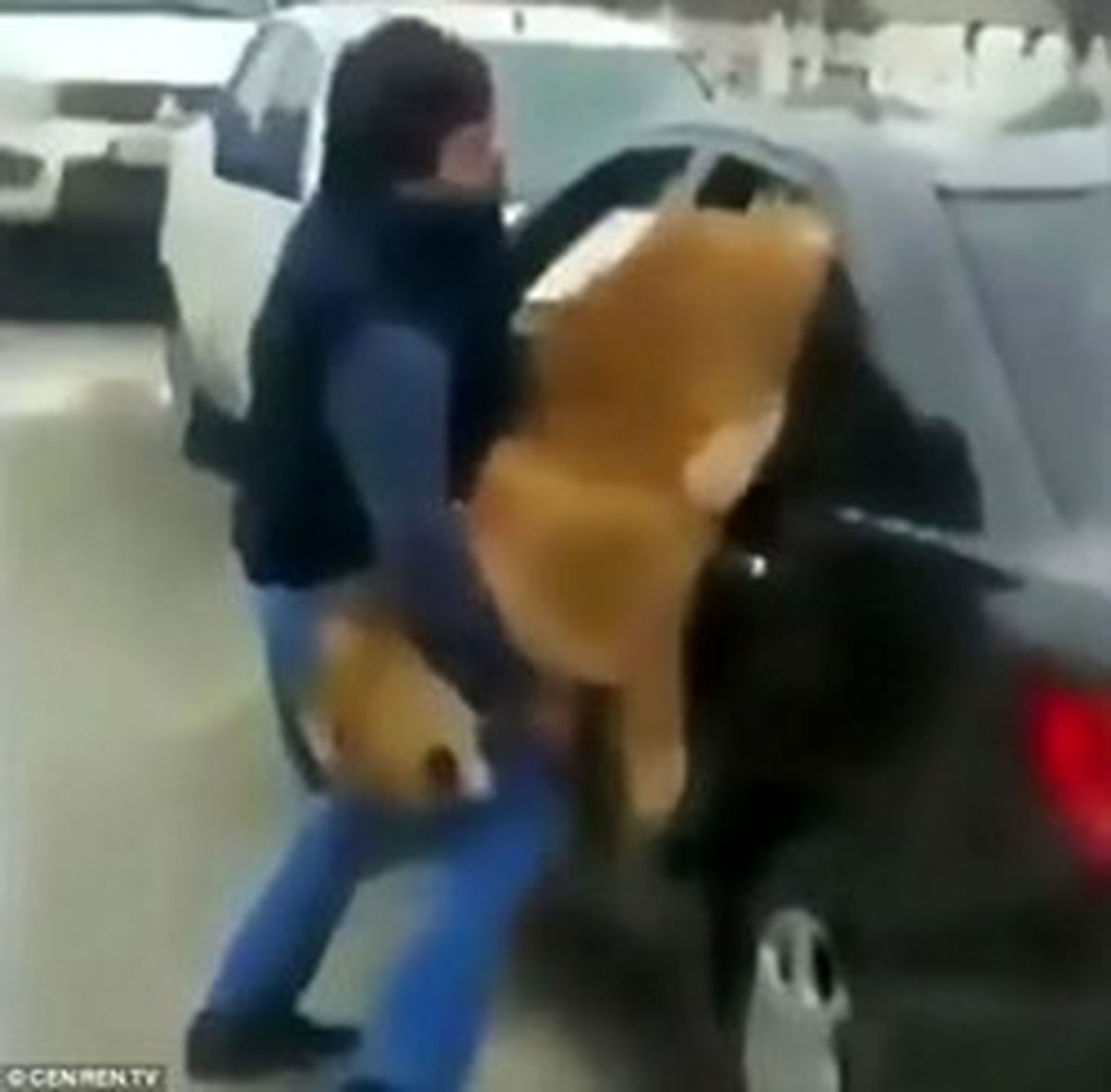 خیابان گردی مرد روس با شیر تنومند خبرساز شد! +تصاویر