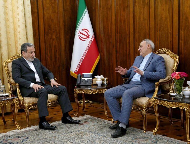 دیدار سفیر جمهوری اسلامی ایران در پاکستان با عراقچی