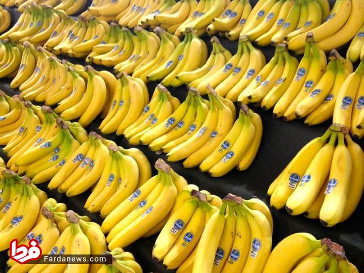 ۷ نکته مهم که پیش از خرید موز باید بدانید