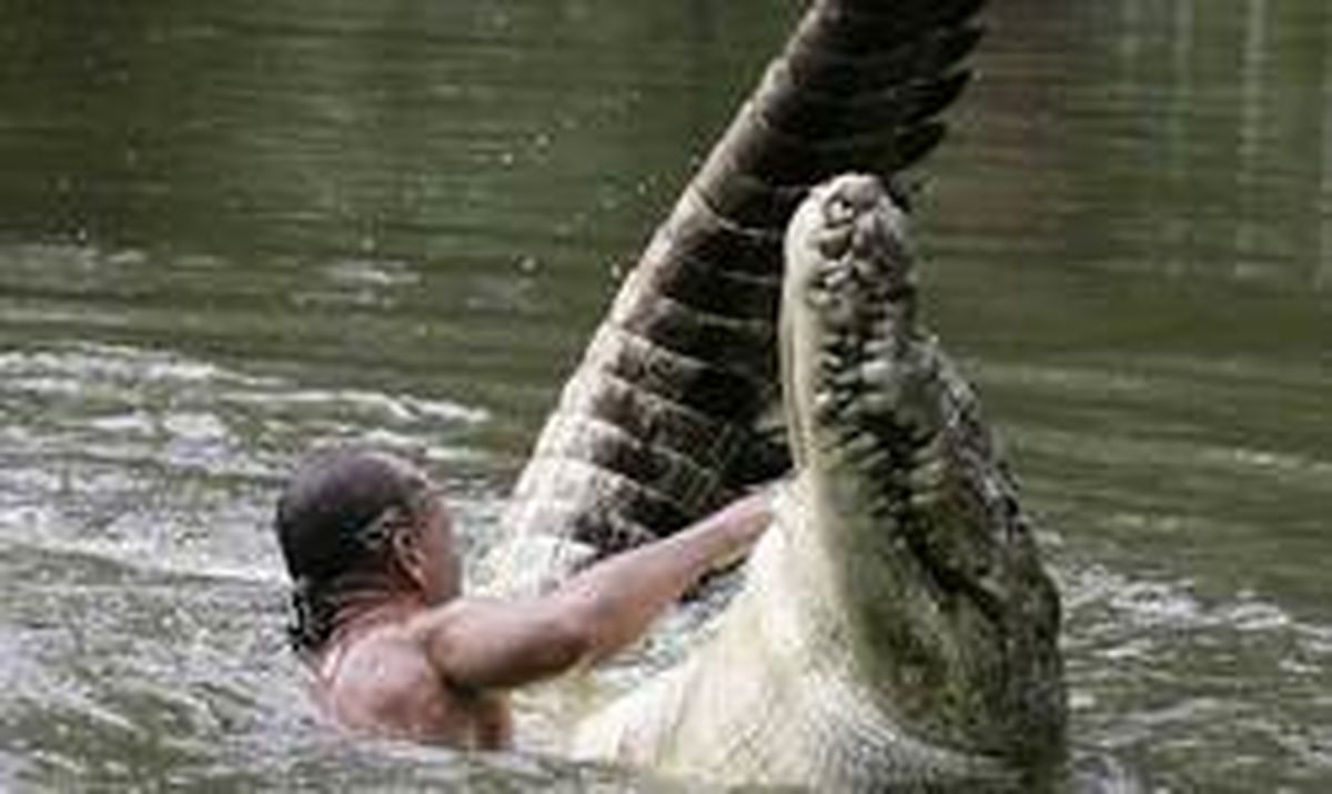 فیلم: تلاش بی فایده برای نجات انسانی که طعمه کروکدیل شد