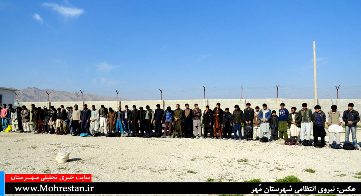 ۴۸ افغانی در ۴ خودرو سواری!