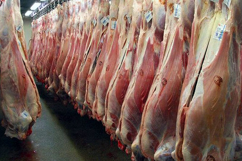 عوارض جدید واردات گوشت قرمز اعلام شد 