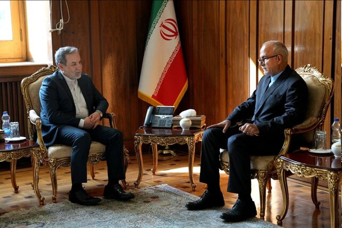 تاکید عراقچی بر ضرورت تقویت همکاری‌ با ارزروم