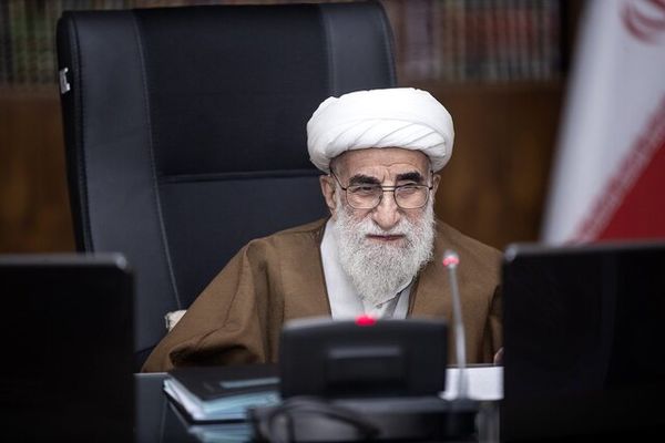 جنتی:قانون اساسی جمهوری اسلامی نگاهی متعالی به زنان دارد