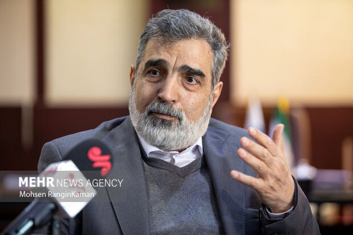 هشدار کمالوندی به شورای حکام