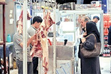 گوشت قرمز گران شد/زمستان  منتظر کاهش قیمت گوشت باشید