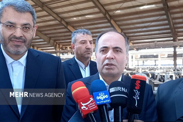 واردات ۲۰۰ هزار تُن گوشت قرمز منتفی شد