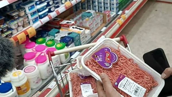 برای دریافت کالابرگ اینجا ثبت نام کنید | استعلام کالابرک از طریق کد دستوری: ستاره ۵۰۰ ستاره ۱۴۶۳ مربع