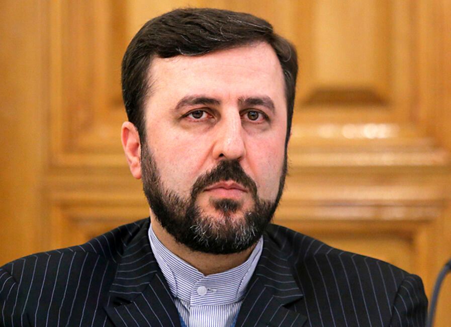 واکنش غریب‌آبادی به اتهامات سیاسی برخی کشورها 