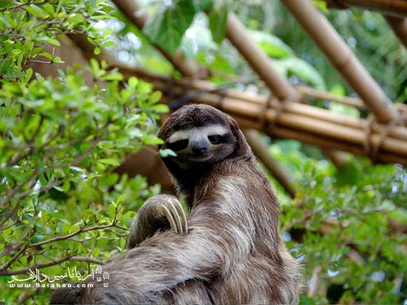 بهترین کشورها برای طبیعت‌گردی