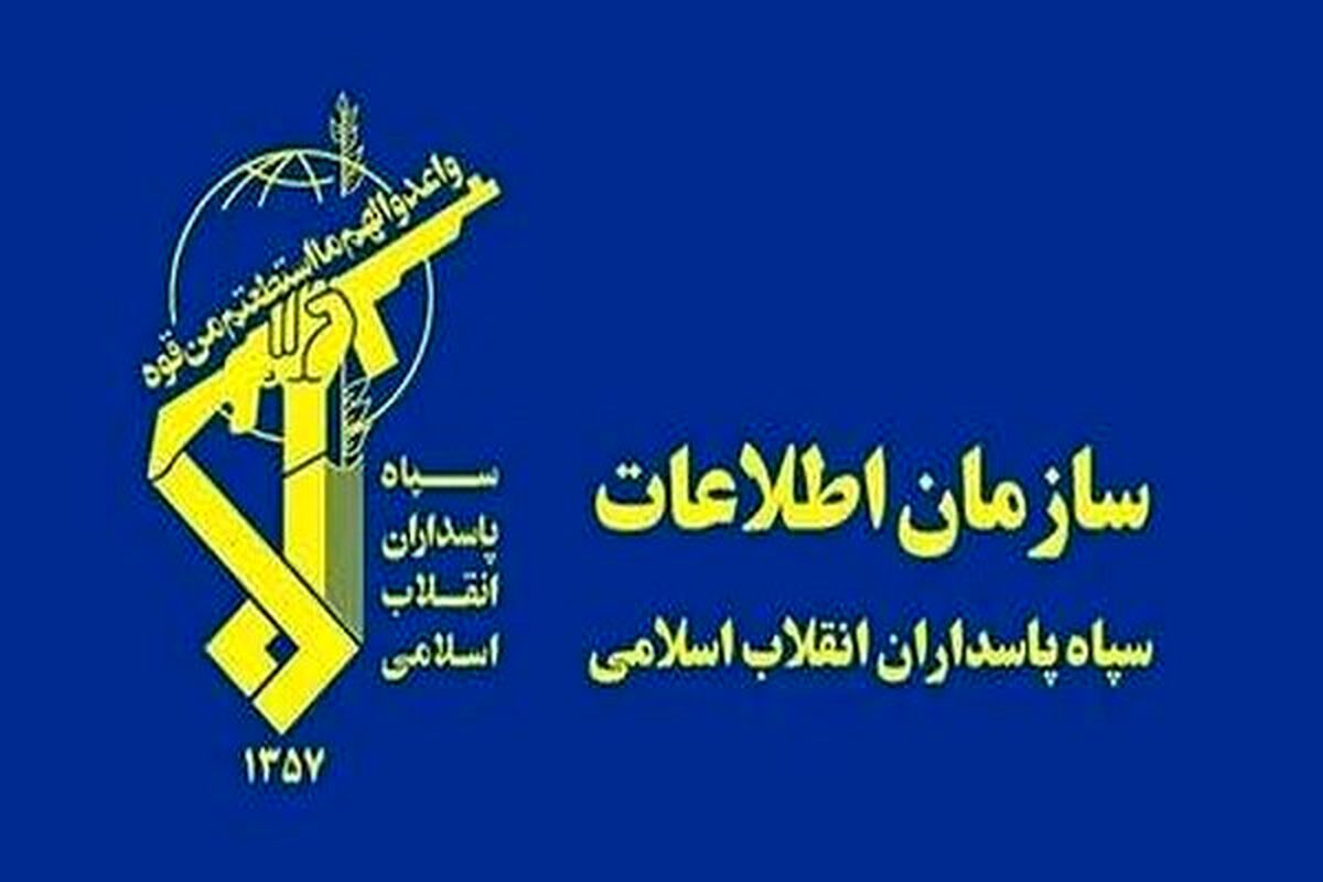 شبکه سازمانیافته فساد در حوزه خرید تضمینی گندم متلاشی شد