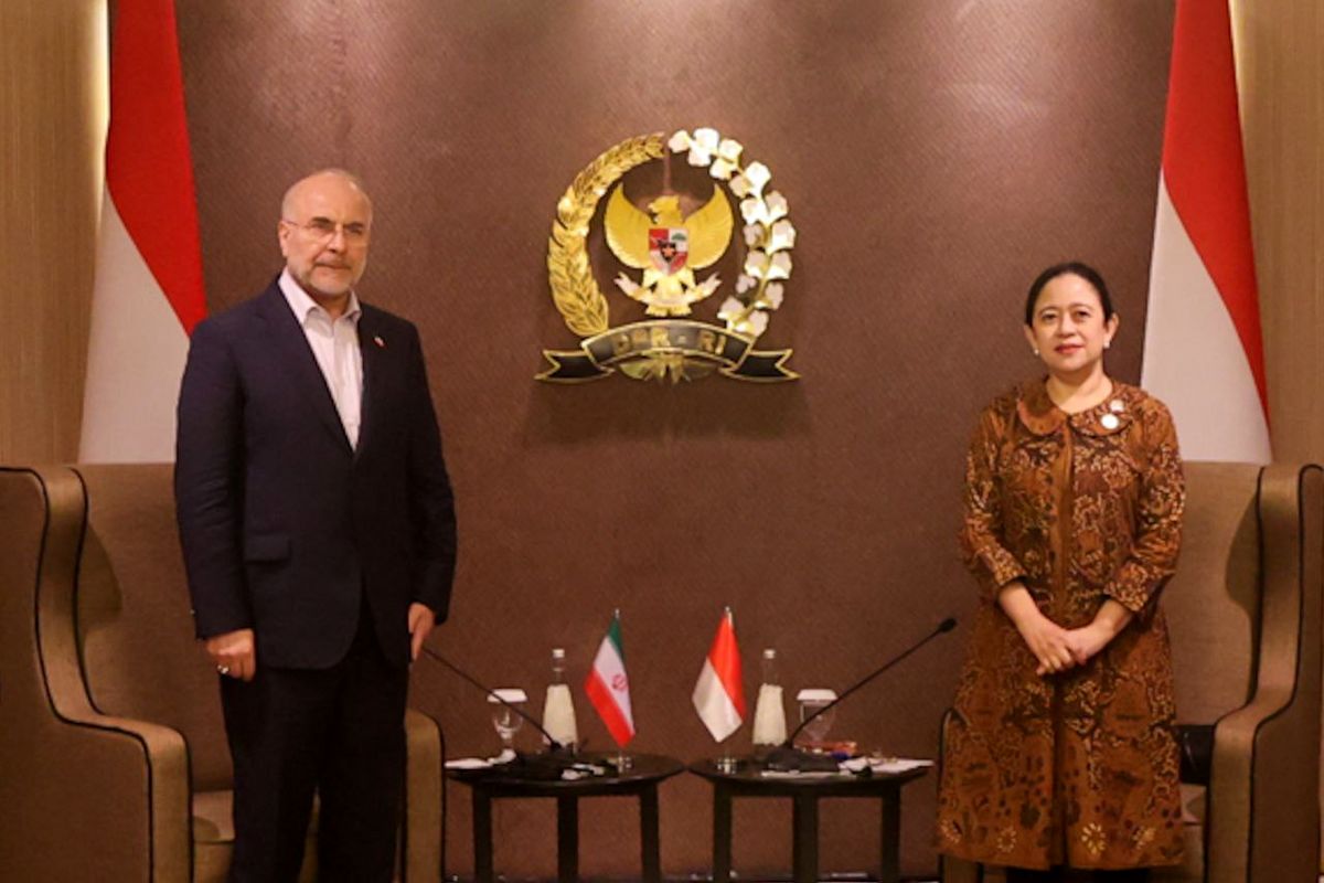دیدار قالیباف با رئیس مجلس نمایندگان جمهوری اندونزی