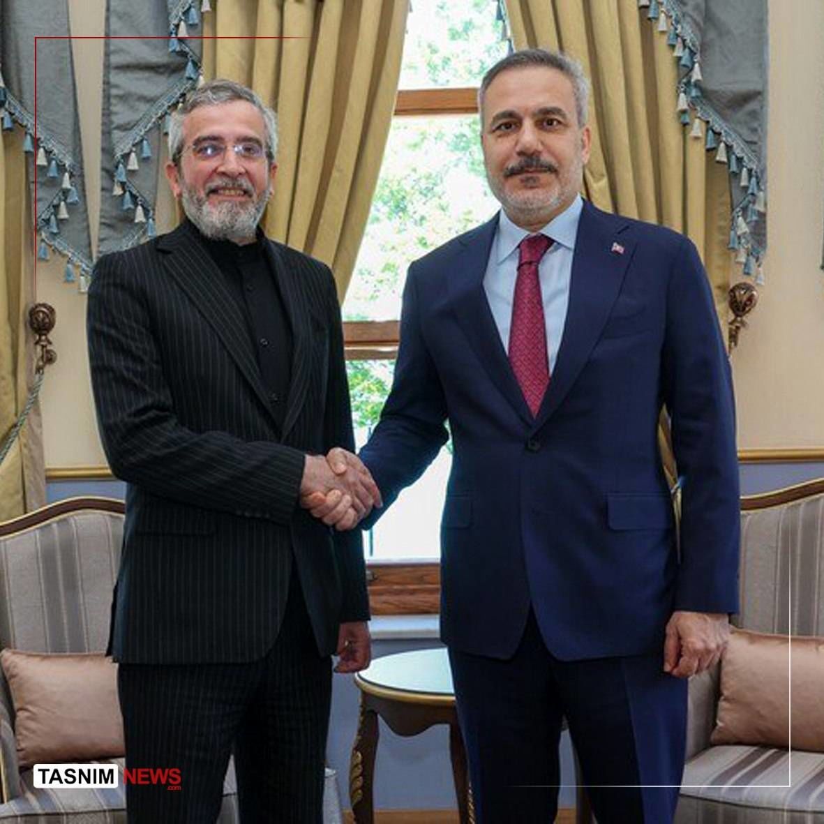 آناتولی: دیدار باقری با فیدان در استانبول 