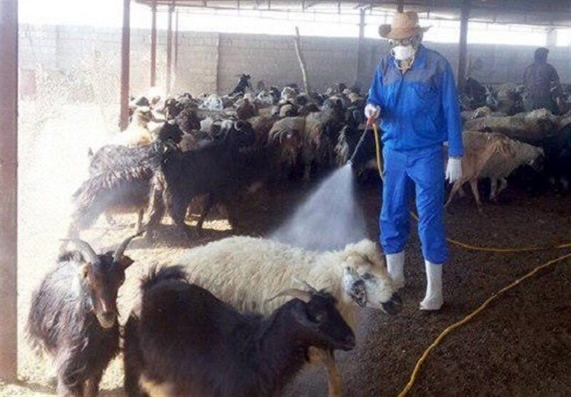 ماجرای شیوع تب کریمه در مازندران