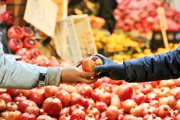 حواله یلدا به انصاف گرانفروشان!