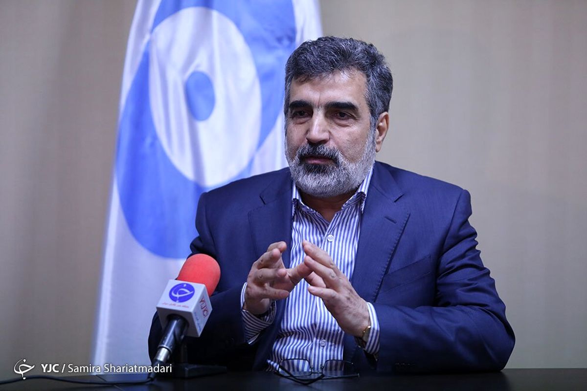 خبر کمالوندی از مذاکره با روسیه برای توسعه فاز ۲ و ۳ نیروگاه بوشهر