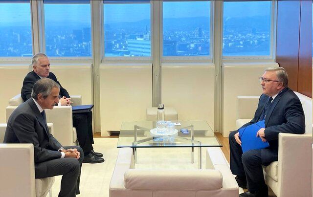 دیدار اولیانوف با گروسی درباره ایران  