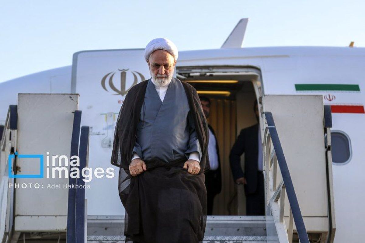 رئیس قوه قضاییه وارد چین شد