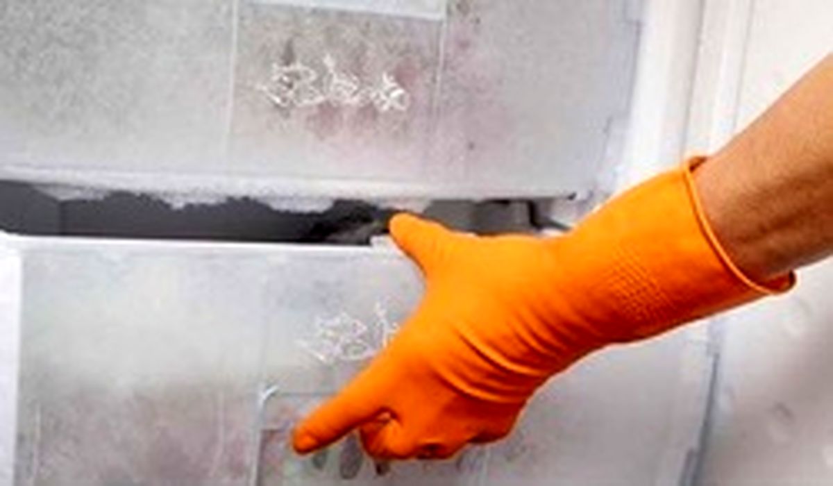 زنی ۱۸ سال جسد خواهرش را در فریزر نگهداری کرد