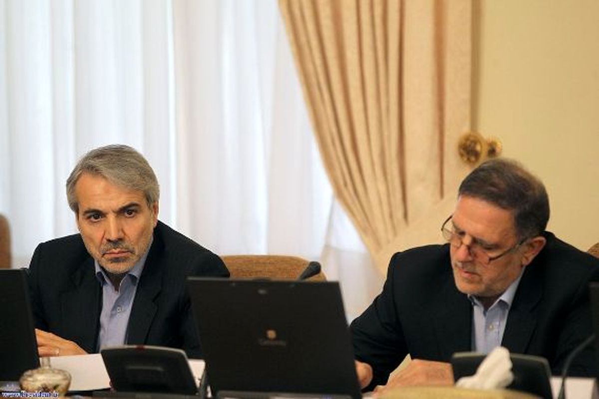 سیف در جلسه هیات دولت یازدهم/عکس