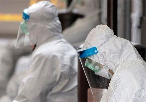 اخبار کرونایی از سراسر جهان