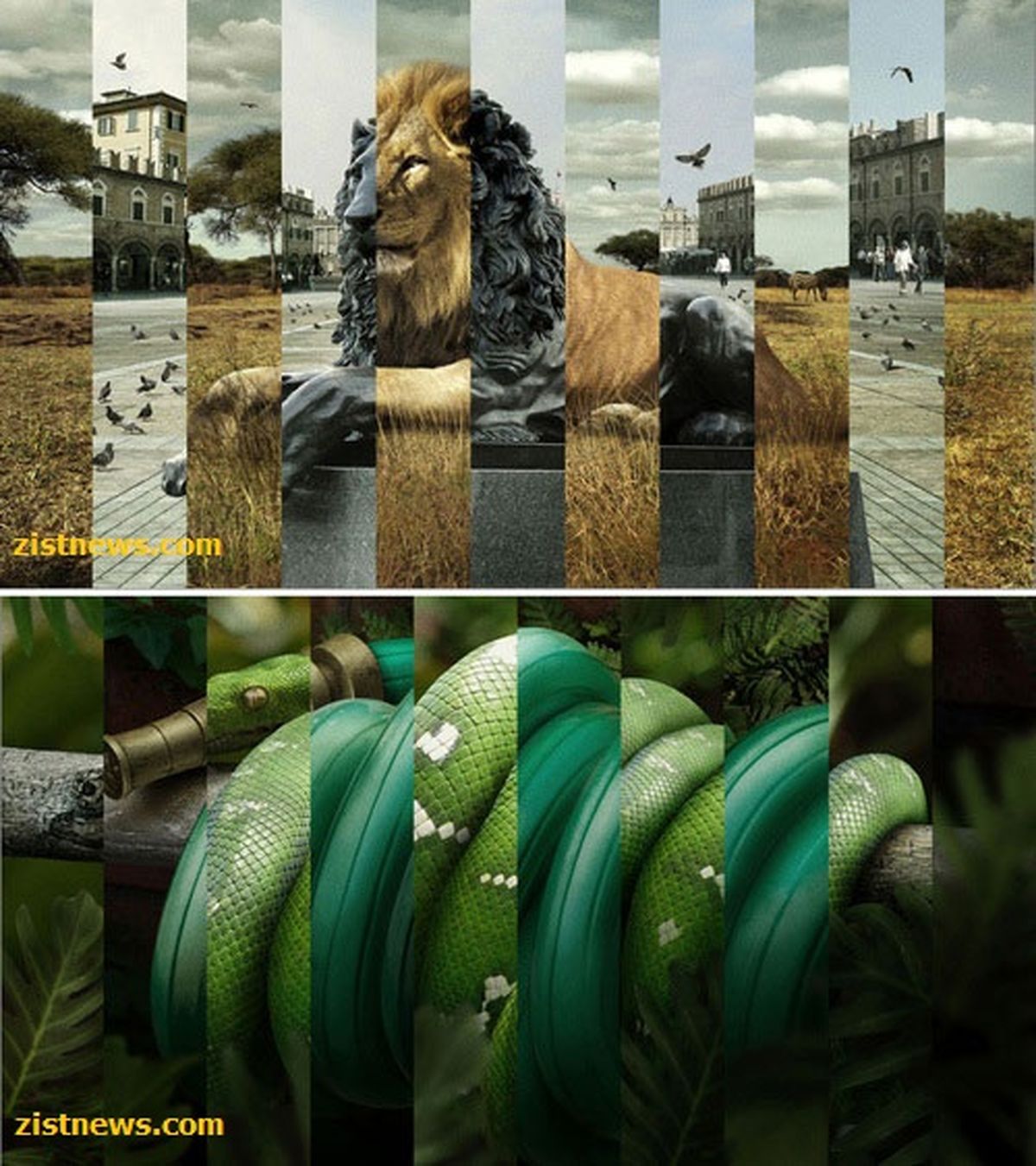 ترکیب جالب!/عکس