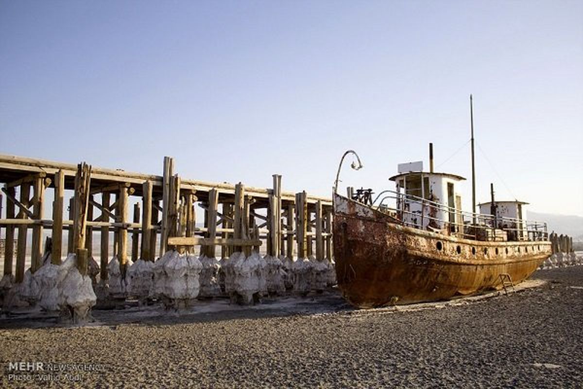 جدال مرگ وزندگی تنها موجودزنده دریاچه ارومیه +تصاویر