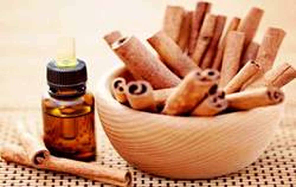 اسانس دارچین به مقابله با سوپرباگ‌ها کمک می‌کند
