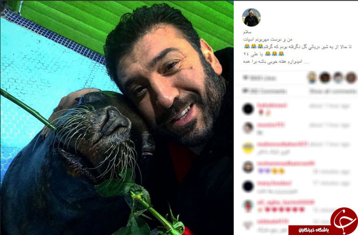 سلفی انصاریان با اسپات شیر دریایی + عکس