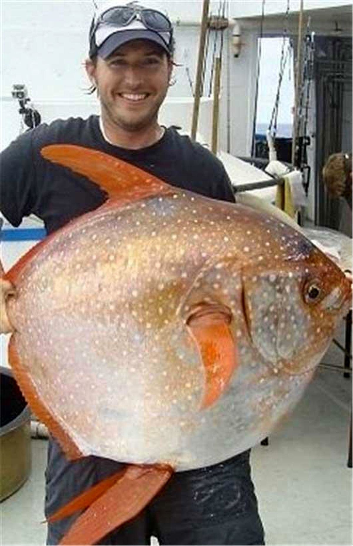 نخستین ماهی خونگرم جهان/عکس