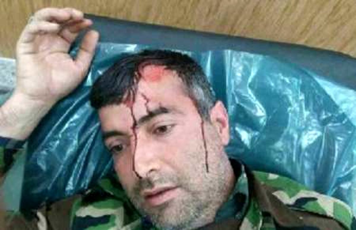 قُرق‌بان گلستانی با ضربه تبر مصدوم شد +عکس