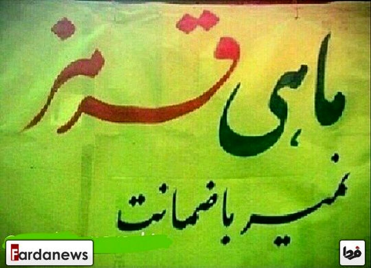 ماهی قرمز تضمینی!/عکس