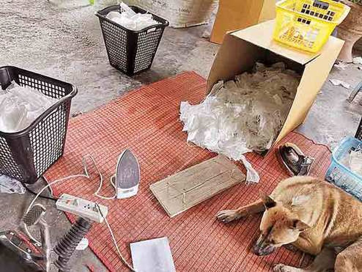 اتو کردن ماسکهای مستعمل در بانکوک! +عکس