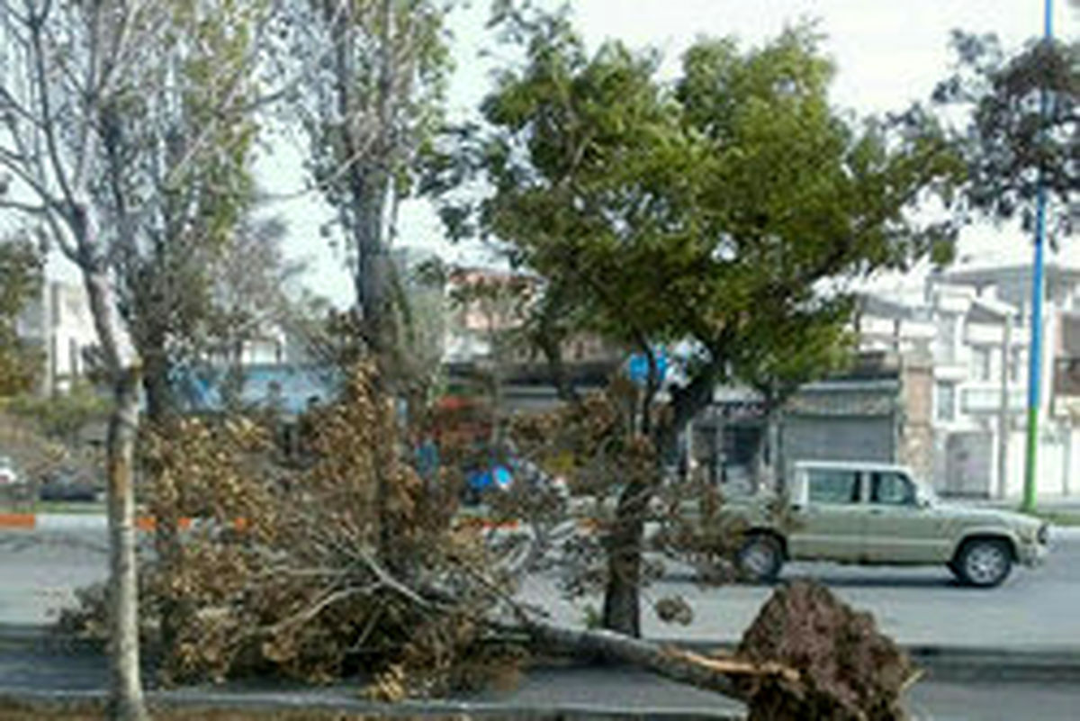 سردشدن ۱۵ درجهای دما در شمال کشور