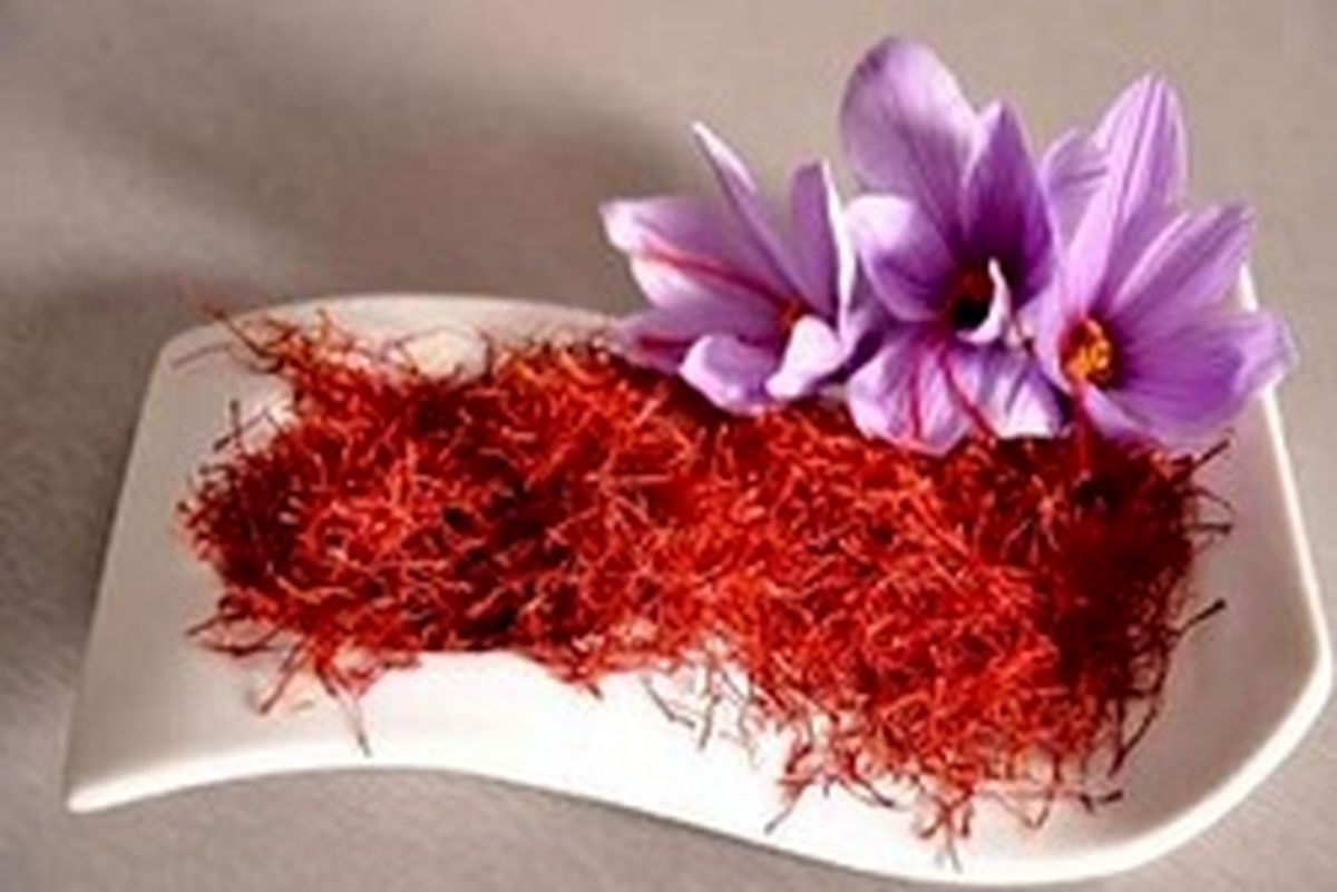 خرید حمایتی ۶۷ تن زعفران از کشاورزان