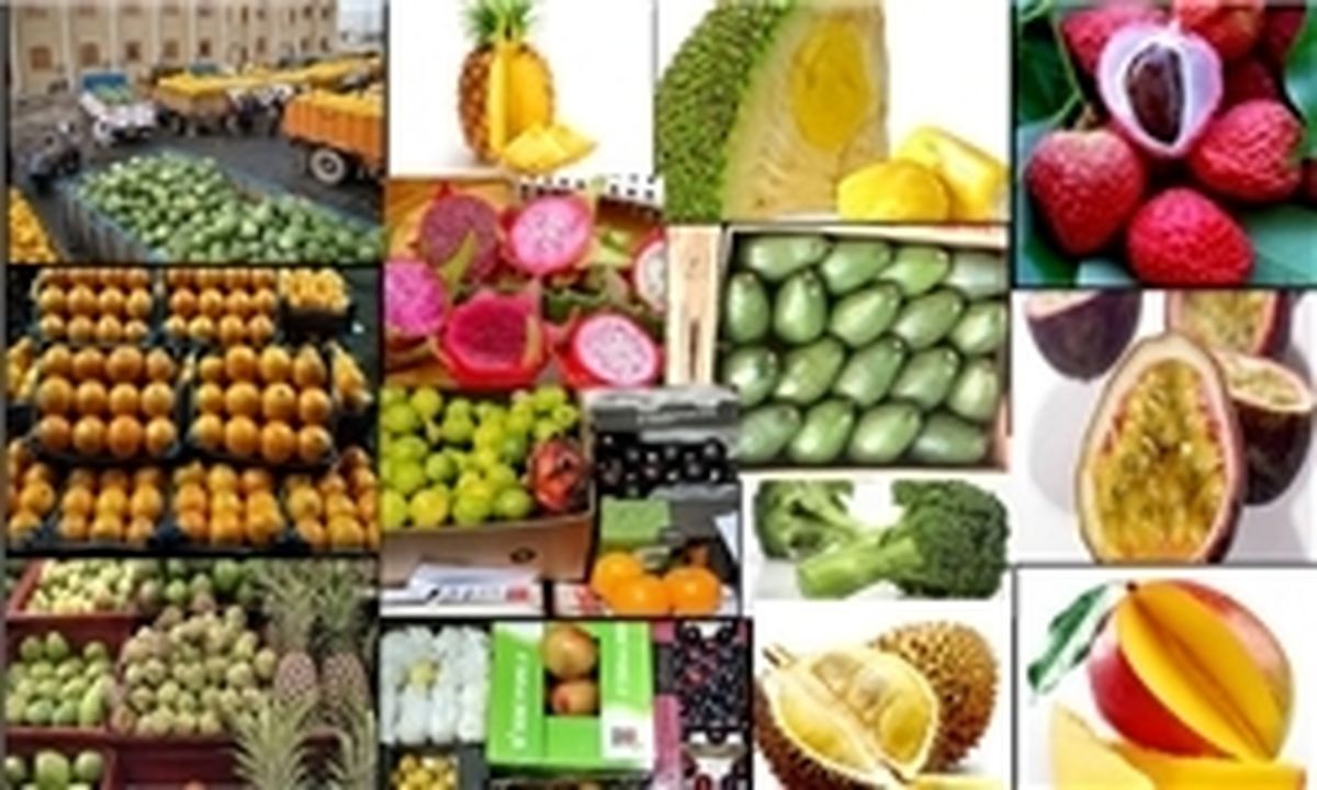 افزایش نرخ دلار قاچاق میوه را از بین برد