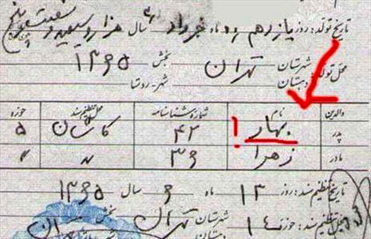 شناسنامه جالب/عکس