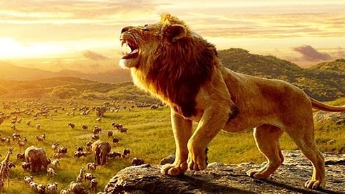 صحنه‌ای باورنکردنی که چوپان آفریقایی از شیر گرفت +فیلم