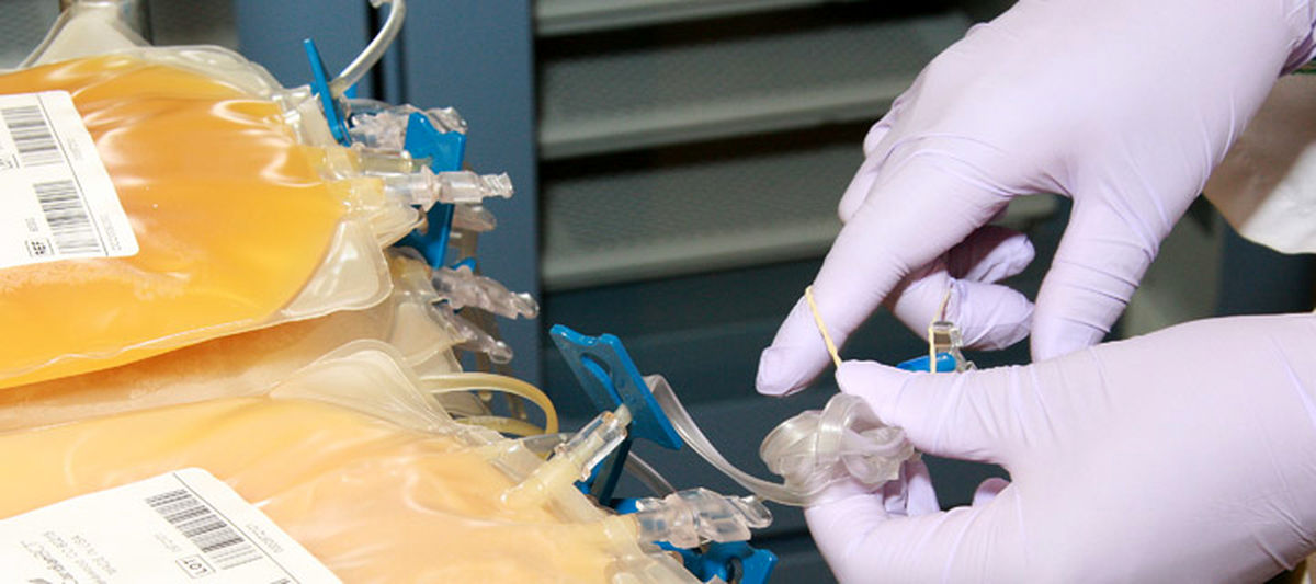 چند بار در سال می‌توان پلاسما اهدا کرد؟