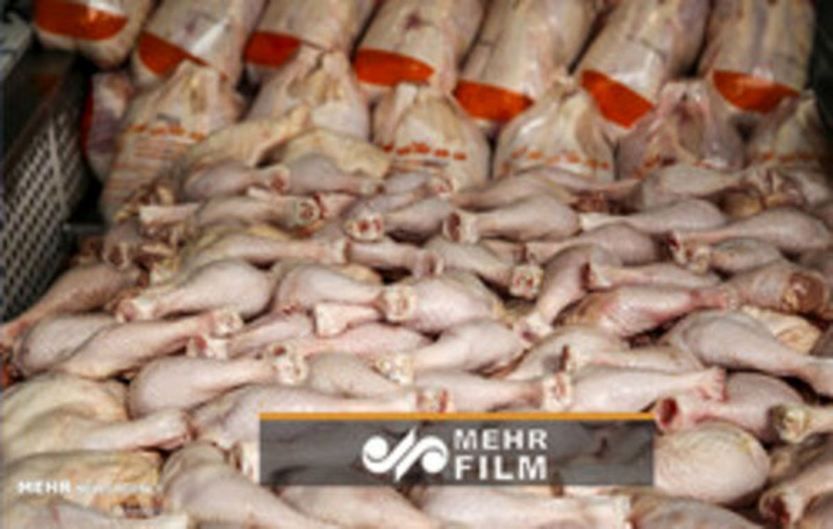 مرغ بگیریم یا کرونا؟! +فیلم