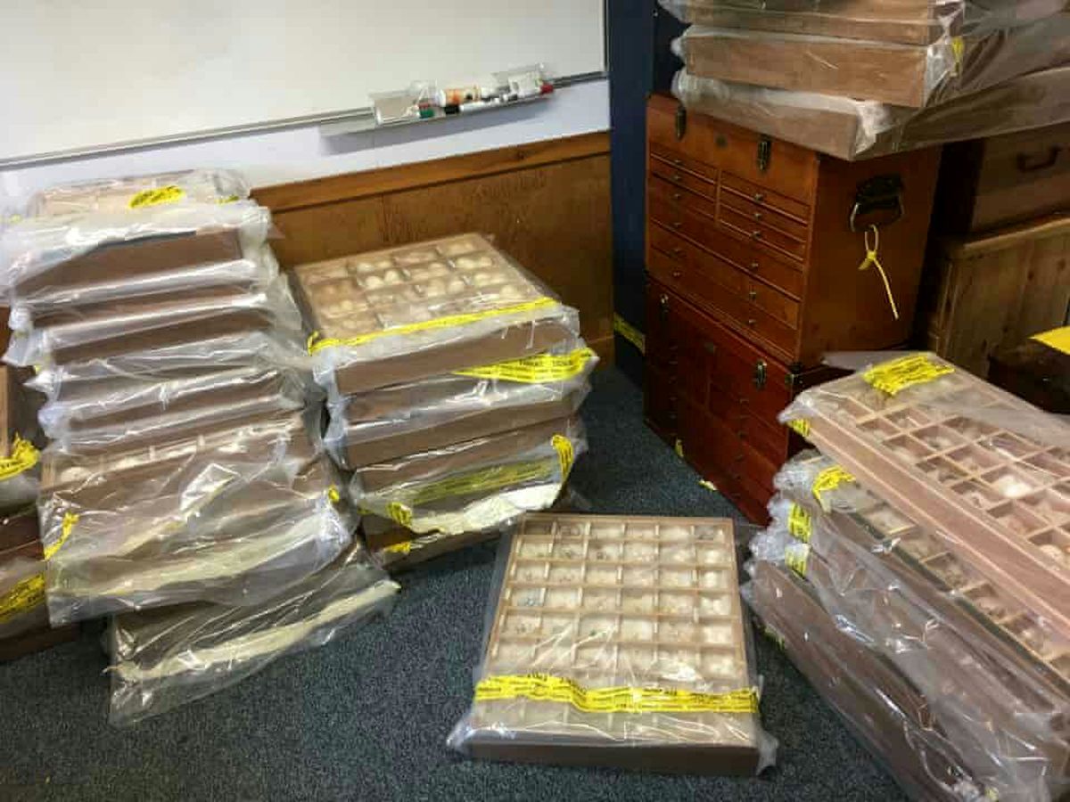 احتکار ۵ هزار تخم پرنده ای نایاب/عکس